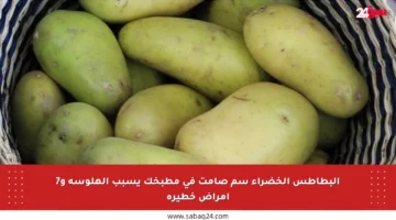 البطاطس الخضراء سم صامت في مطبخك يسبب الهلوسة و7 أمراض خطيرة